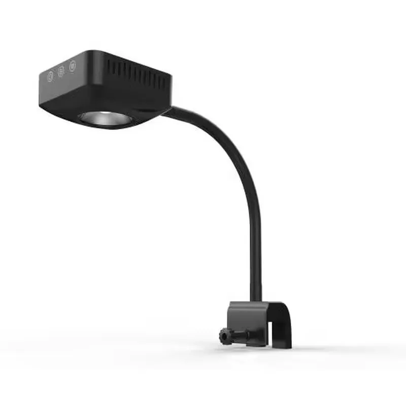 Aquarium Marine Salt - Lüks Deniz Akvaryumu Dekoratif Aksesuarları LED
