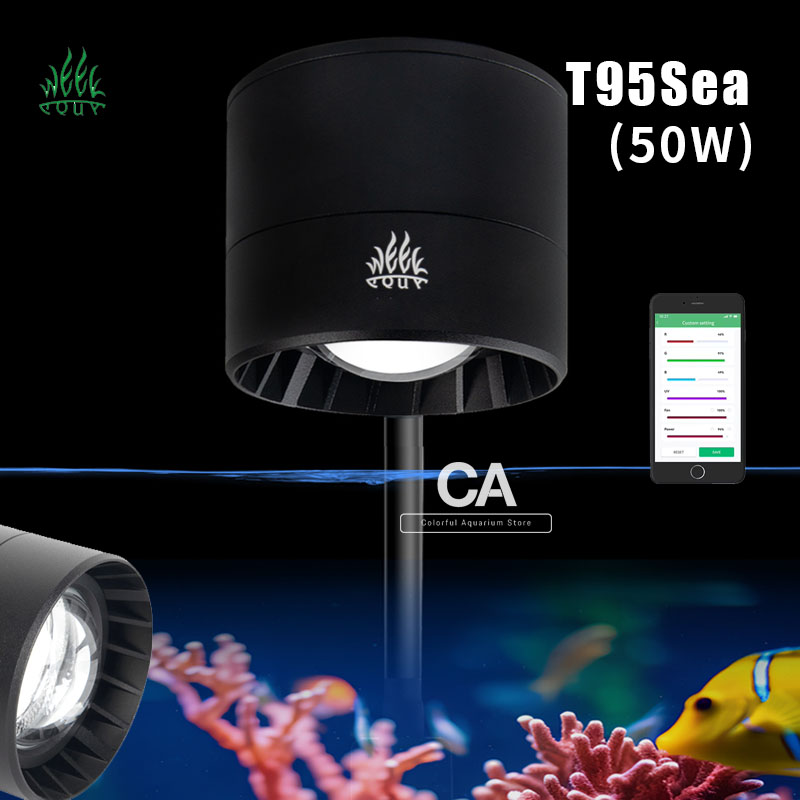 Aquarium Marine Salt - HAFTA AQUA Akvaryum Işık Üreticileri Blue