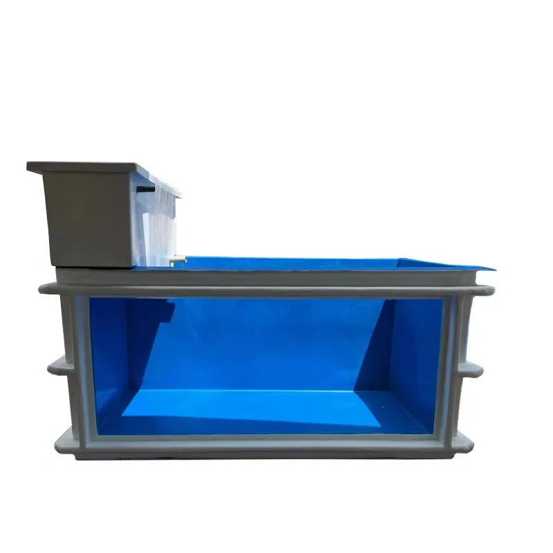 Ekstra Büyük 300 Galonluk Yunu - Marine Aquarium Exhibition incelemesi ve fiyatı
