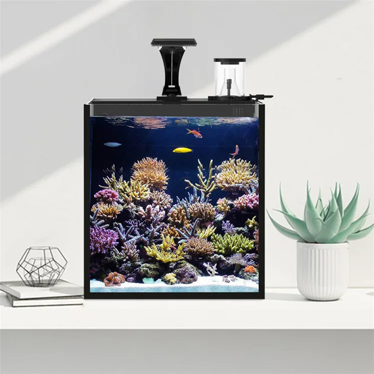 Deniz Ürünleri İçin En Yeni Mo - Aquarium Marine Salt incelemesi ve fiyatı