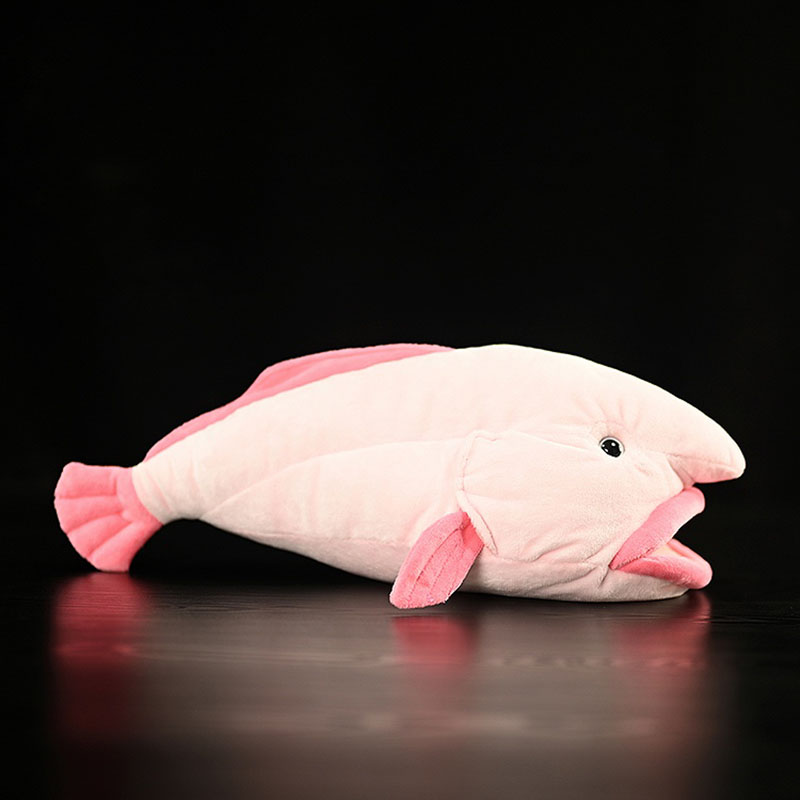 Simüle Hayvan Blobfish Deniz O - Aquarium And Marine Museum incelemesi ve fiyatı