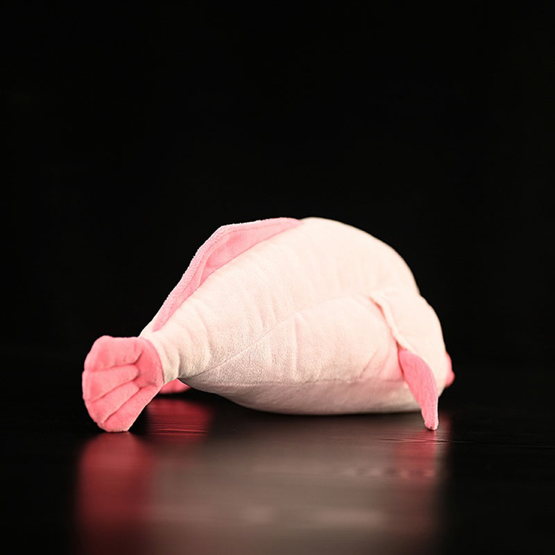Simüle Hayvan Blobfish Deniz O - Aquarium And Marine Museum incelemesi ve fiyatı