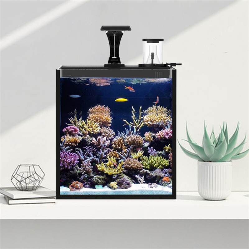 Ultra şeffaf cam mini tuzlu su - Aquarium Marine Salt incelemesi ve fiyatı