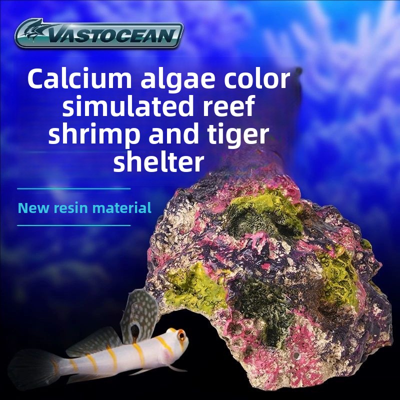 VASTOCEAN Tuzlu Su Akvaryumu M - Marine Aquarium Hermit Crab incelemesi ve fiyatı