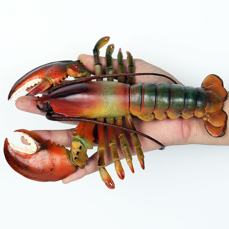 Gerçekçi Deniz Yaşamı Figürü A - Marine Aquarium Hermit Crab incelemesi ve fiyatı